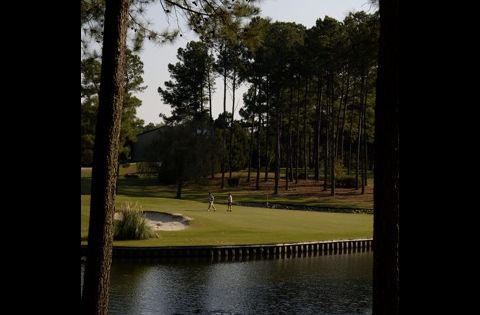 Reedy Creek Golf Course - Course Image (#4 of 7)