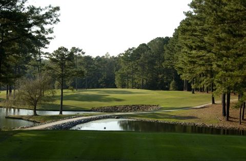 Reedy Creek Golf Course - Course Image (#5 of 7)