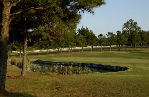 Reedy Creek Golf Course - Course Image (#6 of 7)