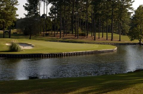 Reedy Creek Golf Course - Course Image (#7 of 7)